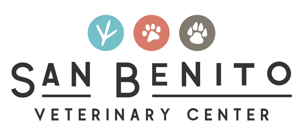 Veterinary Services San Benito Veterinary Center